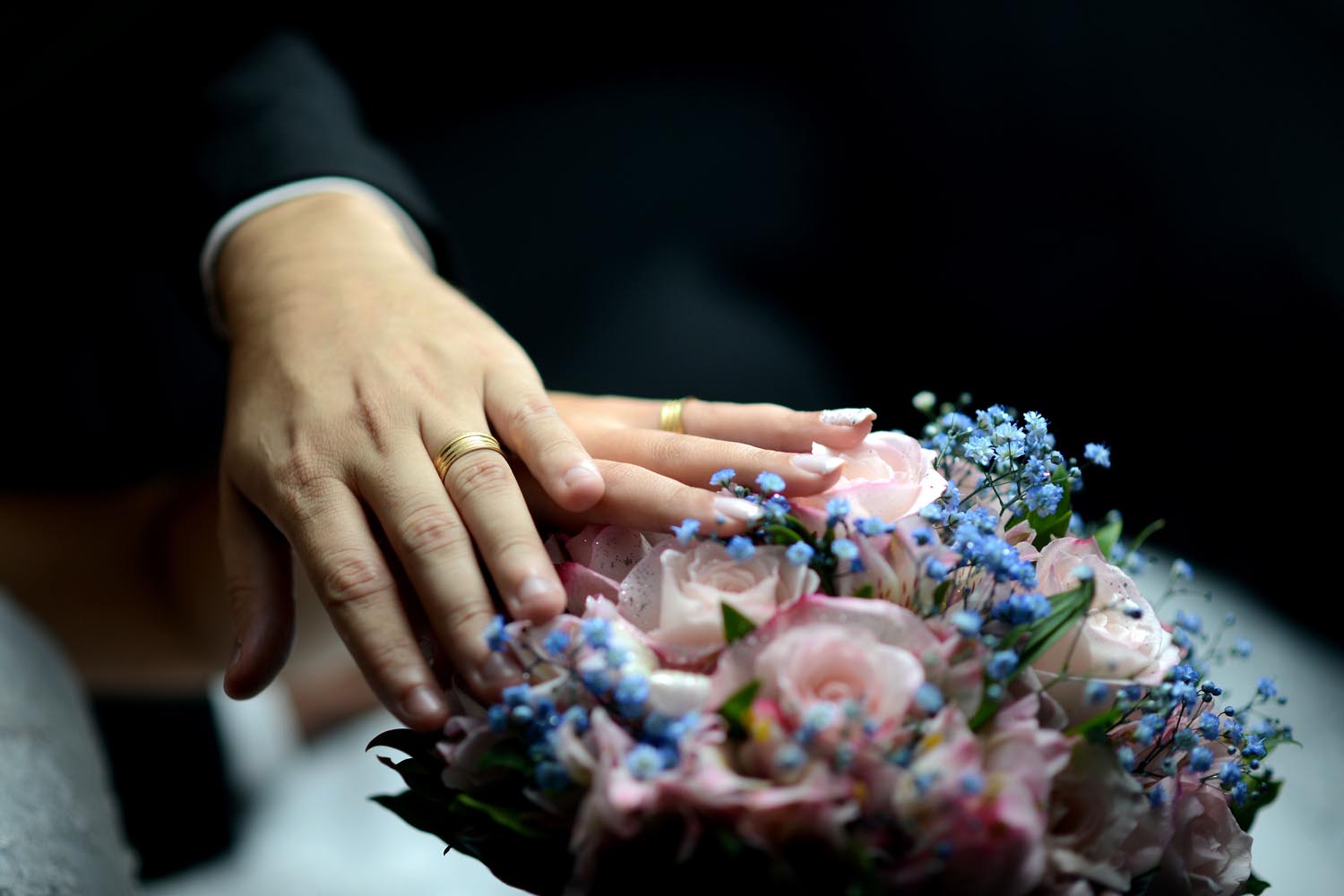 Portfolio_Splash_001